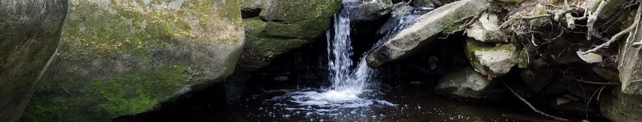 Richmond Zen